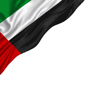 UAE Flag